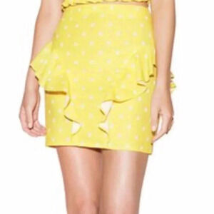 The Fifth Label  Fiesta Mini Skirt Daisy Print